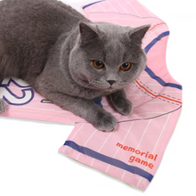 Load image into Gallery viewer, DOGGYMAN Baseball Shirt Pet Mat