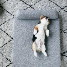 將圖片載入圖庫檢視器 PETKIT Deep Sleep Pet Mattress Comfort Memory Foam Two Layers Pet Bed