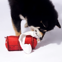 Load image into Gallery viewer, KASHIMA Mailbox Pet Toy