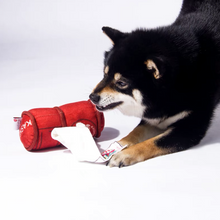 Load image into Gallery viewer, KASHIMA Mailbox Pet Toy