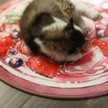 Load image into Gallery viewer, NIAN'GAO Pet Mat