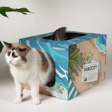 Load image into Gallery viewer, PAWZCITY Cat Beach Vocation Scratcher House