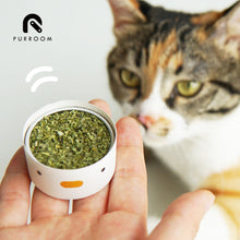 將圖片載入圖庫檢視器 PURROOM Dried Natural Catnip 3G