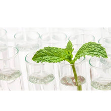 將圖片載入圖庫檢視器 PETKIT Natural Catnip