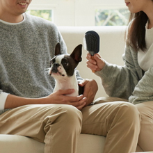 將圖片載入圖庫檢視器 PETIO Porta Pin Brush Small