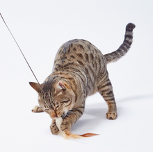 Load image into Gallery viewer, NECOCO Natural Rope Teaser