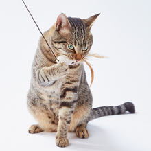 Load image into Gallery viewer, NECOCO Natural Rope Teaser