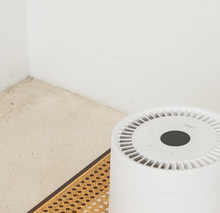 Load image into Gallery viewer, PETREE Pet Air Purifier With UV Lamp