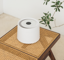 Load image into Gallery viewer, PETREE Pet Air Purifier With UV Lamp