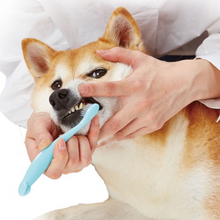 Load image into Gallery viewer, PETIO Dental Toothbrush Soft Type