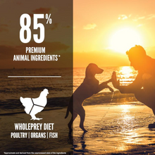 將圖片載入圖庫檢視器 ORIJEN Puppy