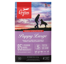 Load image into Gallery viewer, ORIJEN Puppy Large Breed 10.6kg