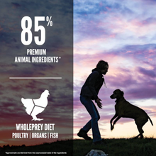 Load image into Gallery viewer, ORIJEN Puppy Large Breed 10.6kg