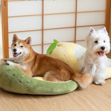 將圖片載入圖庫檢視器 TOUCHDOG Fruity Series Premium Designer Oval Pet Bed