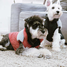 將圖片載入圖庫檢視器 TOUCHDOG Trucker Jacket (Black)