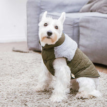 將圖片載入圖庫檢視器 TOUCHDOG Trucker Jacket (Black)