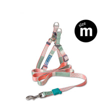 Load image into Gallery viewer, TOUCHDOG Trendy Designer Printed Dog Leash and Harness