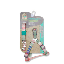 Load image into Gallery viewer, TOUCHDOG Trendy Designer Printed Dog Leash and Harness