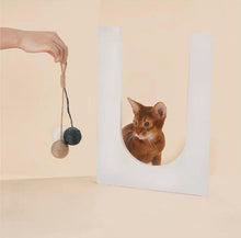 Load image into Gallery viewer, ZEZE Dangling Balls Pet Toy