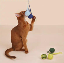 Load image into Gallery viewer, ZEZE Dangling Balls Pet Toy