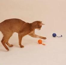 Load image into Gallery viewer, ZEZE Dangling Balls Pet Toy