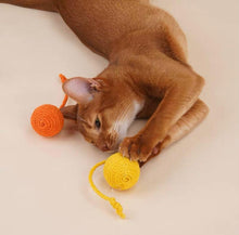 Load image into Gallery viewer, ZEZE Dangling Balls Pet Toy
