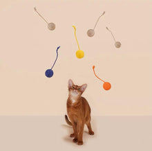Load image into Gallery viewer, ZEZE Dangling Balls Pet Toy
