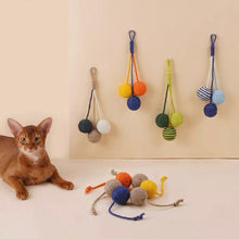 Load image into Gallery viewer, ZEZE Dangling Balls Pet Toy