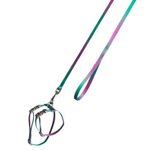 Load image into Gallery viewer, MAOGOUBLUE Stylish Cat traction rope Pet Cat Harness and Leash