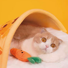 將圖片載入圖庫檢視器 PURLAB Curry Rice Pet Bed