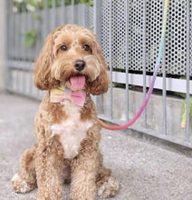 Load image into Gallery viewer, MAOGOUBLUE Stylish Dog Traction Rope Dog Collar and Leash