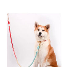 Load image into Gallery viewer, MAOGOUBLUE Stylish Dog Traction Rope Dog Collar and Leash