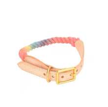 Load image into Gallery viewer, MAOGOUBLUE Stylish Dog Traction Rope Dog Collar and Leash