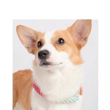 Load image into Gallery viewer, MAOGOUBLUE Stylish Dog Traction Rope Dog Collar and Leash