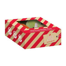 Load image into Gallery viewer, ROSEWOOD Christmas Dinner Pack For Dogs