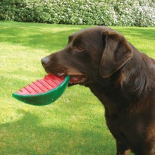 Load image into Gallery viewer, ROSEWOOD BioSafe Watermelon Dog Toy