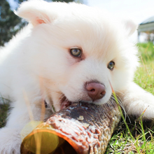 Load image into Gallery viewer, WAG Dog Treats Beef Moo Tubes