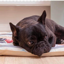 Load image into Gallery viewer, NIAN'GAO Pet Cooling Mat