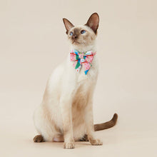 Load image into Gallery viewer, PETKIT Pet Bow Tie Collar