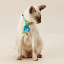 Load image into Gallery viewer, PETKIT Pet Bow Tie Collar