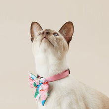 Load image into Gallery viewer, PETKIT Pet Bow Tie Collar