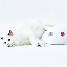 Load image into Gallery viewer, PETKIT Magic Hemisphere Cat Toy