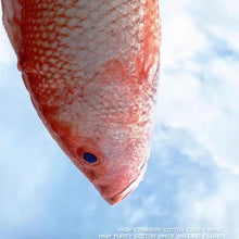 Load image into Gallery viewer, WOHOO MARKET Fish Cat Toy With Catnips