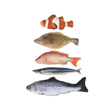 Load image into Gallery viewer, WOHOO MARKET Fish Cat Toy With Catnips