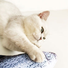 Load image into Gallery viewer, WOHOO MARKET Fish Cat Toy With Catnips