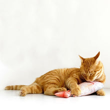 Load image into Gallery viewer, WOHOO MARKET Fish Cat Toy With Catnips