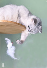 Load image into Gallery viewer, WOHOO MARKET Sectional Take-up Cat Toy