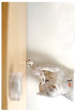 Load image into Gallery viewer, WOHOO MARKET Sectional Take-up Cat Toy