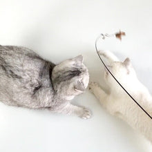 Load image into Gallery viewer, WOHOO MARKET Feather Cat Teaser Wand