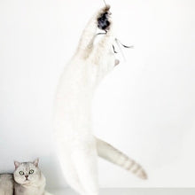 Load image into Gallery viewer, WOHOO MARKET Feather Cat Teaser Wand